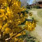 Kemping Camping San Giusto *