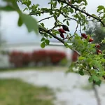 Kemping Camping San Giusto *