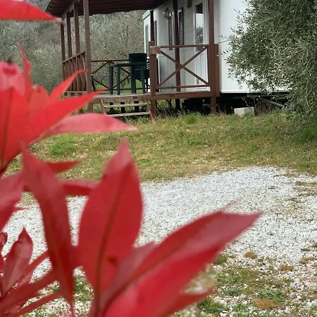 Camping San Giusto * San Giusto