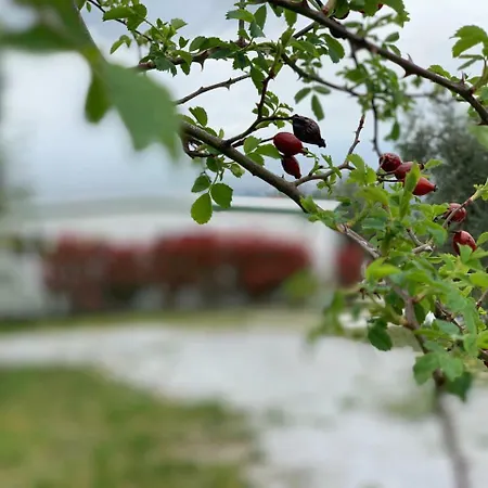 Κάμπινγκ Camping San Giusto *