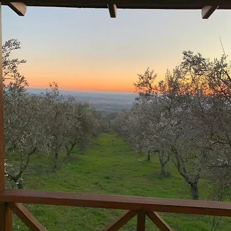 Camping San Giusto * San Giusto (Florence)